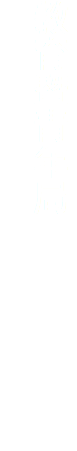教育暨青年局